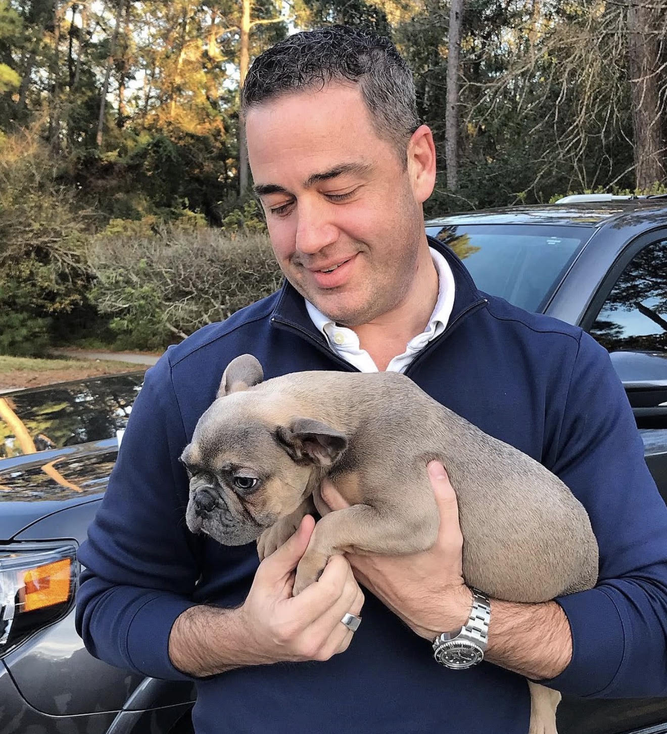 BlueCoat French Bulldog gallery twelve 