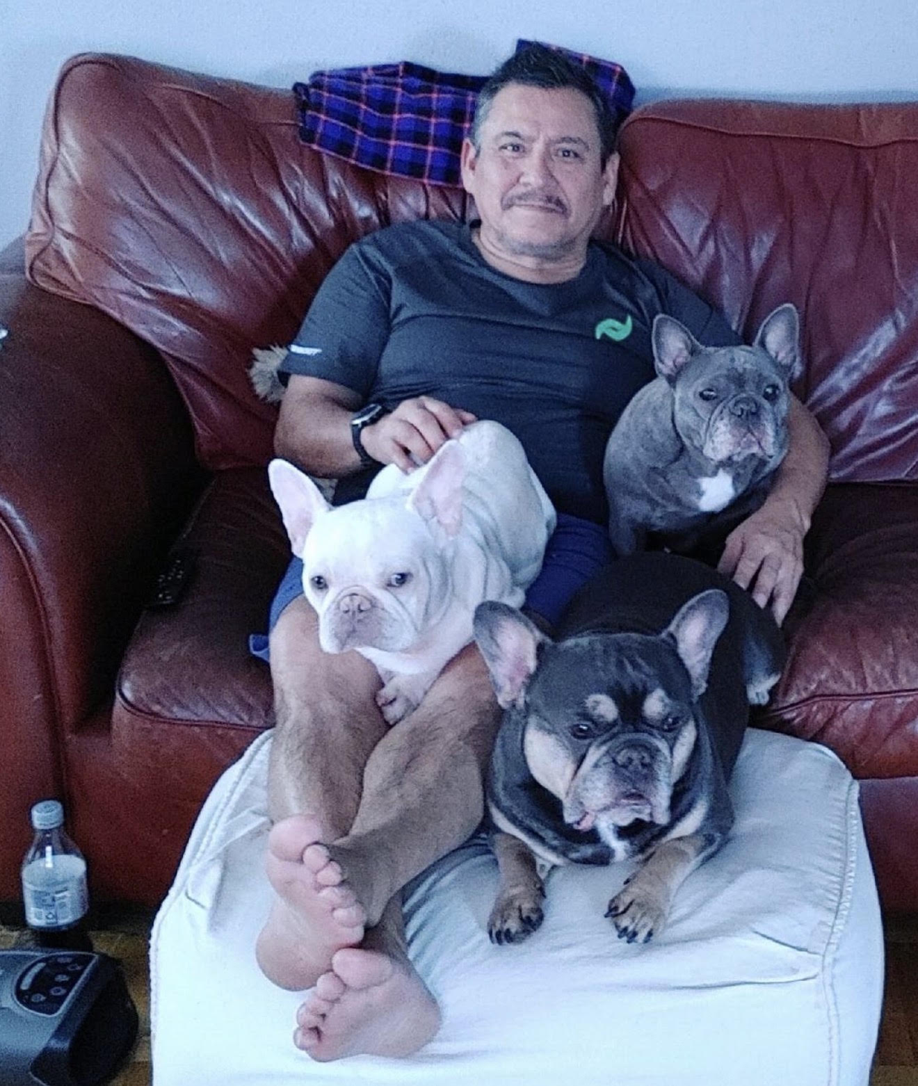 BlueCoat French Bulldog gallery twenty 