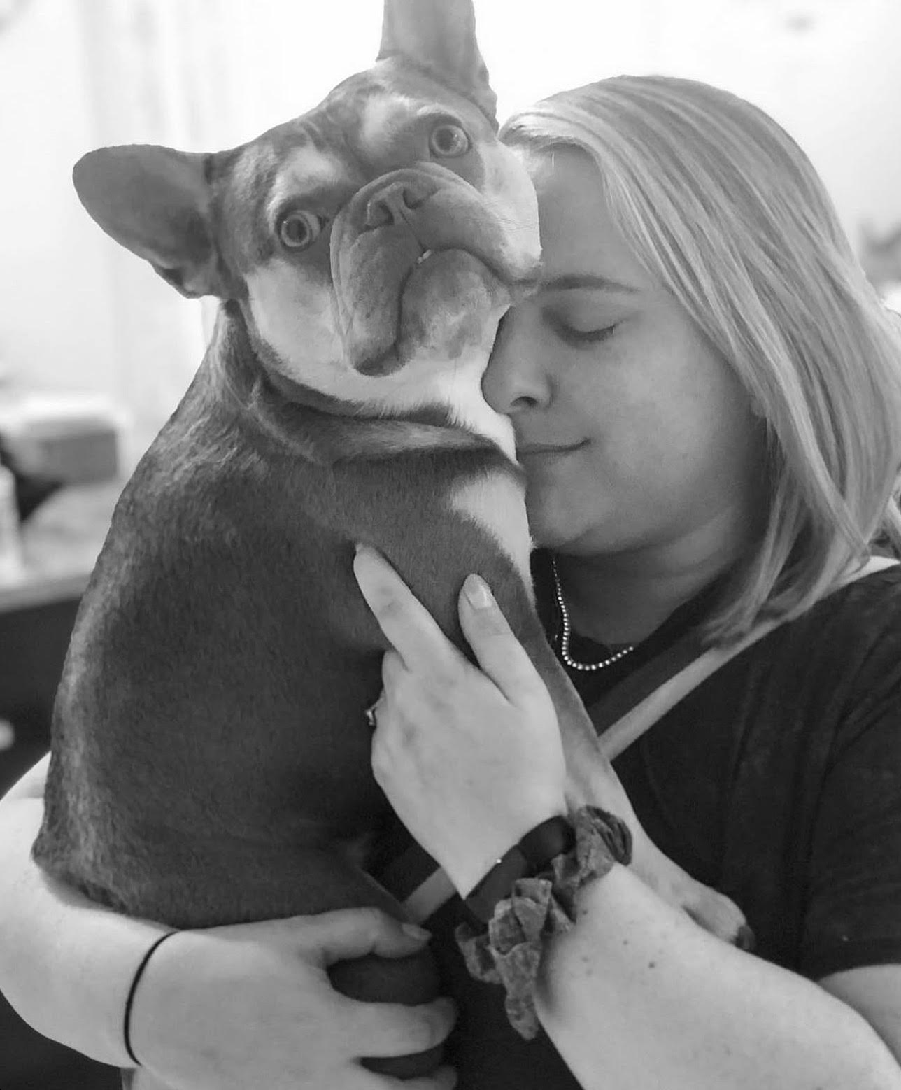 BlueCoat French Bulldog gallery twentyone