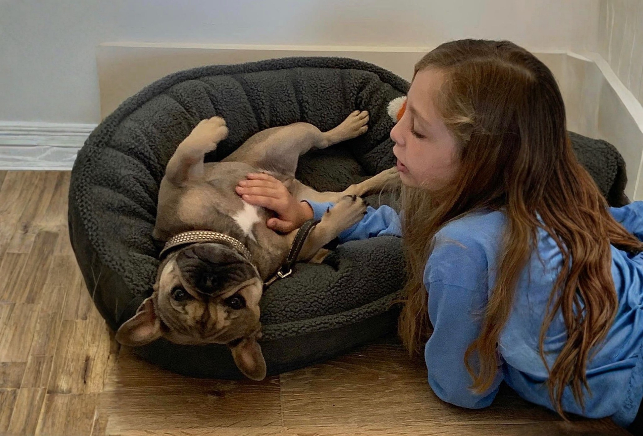 BlueCoat customer puppy photo