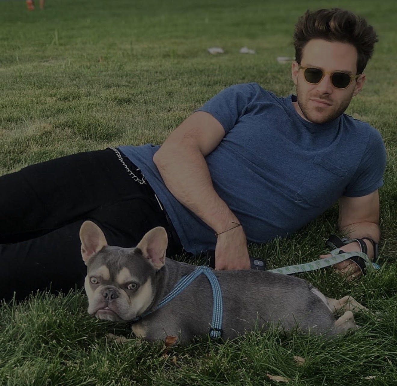 BlueCoat French Bulldog gallery nine