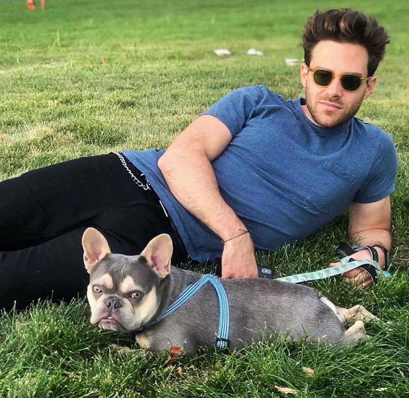 Contact BlueCoat French Bulldogs