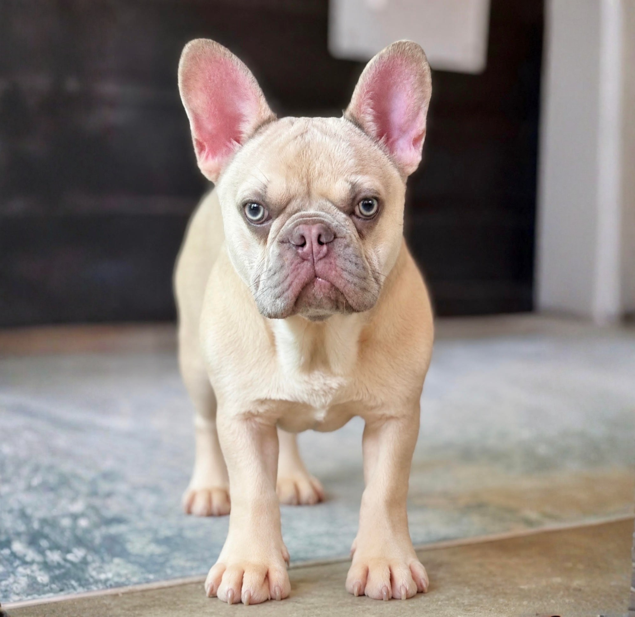 Ellie