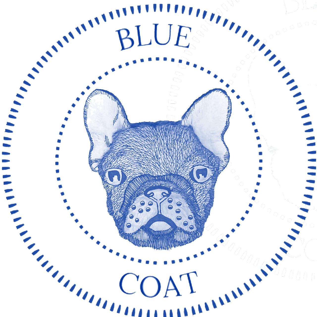 BlueCoat French Bulldogs