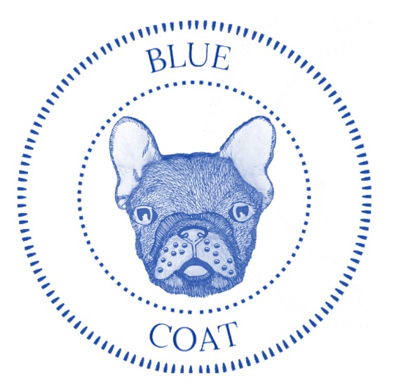 BlueCoat French Bulldogs