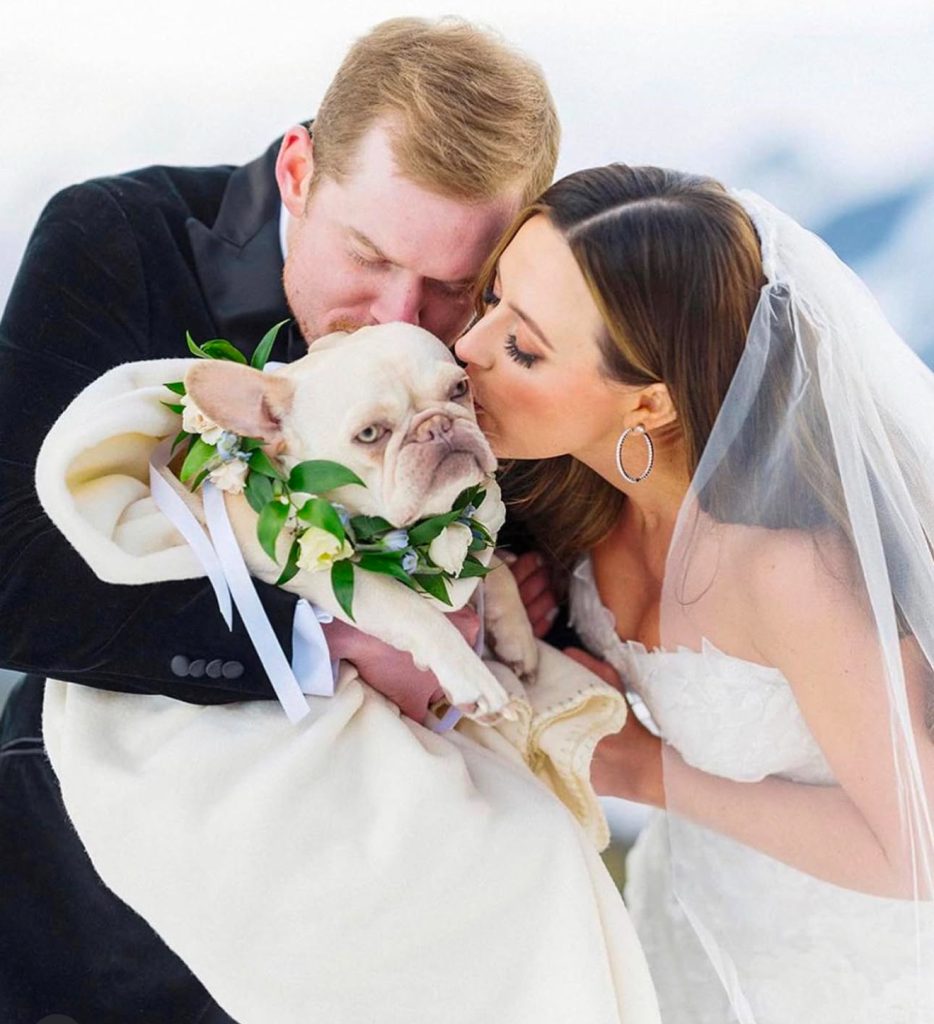 Texas French Bulldog breeder specializing in quality bloodlines.