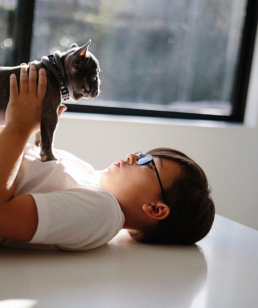 French Bulldog litter raised with daily care and attention.
